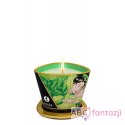 Świeca do masażu Green Tea 170ml Shunga Shunga