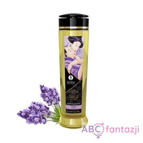 Olejek do masażu Lawenda 240ml Shunga Shunga Olejek do masażu Lawenda 240ml Shunga Shunga