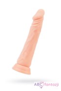 Dildo Toon z przyssawką 20cm A-TOYS Toyfa