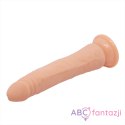 Dildo z przyssawką Barbara Bob 21cm LyBaile LyBaile