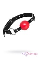 Anonymo gag, TPR, red, 64 cm Toyfa