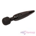 Power Wand Massager LyBaile