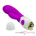 Pretty Love Bruno Vibrator Purple LyBaile