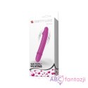 Pretty Love Emily Smooth Vibrator Pink LyBaile