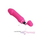 Pretty Love Stev Vibrator Pink LyBaile