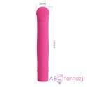 Pretty Love Bogey Vibrator Pink LyBaile