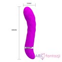 Pretty Love Truda Vibrator Purple LyBaile