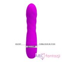 Pretty Love Truda Vibrator Purple LyBaile