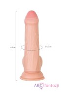 My Babe My Treasure Realistic Dildo, TPE, Nude, 18.5 cm Toyfa