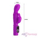 Pretty Love Body Touch Vibrator + rabbit LyBaile