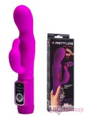 Pretty Love Body Touch Vibrator + rabbit LyBaile