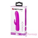 Pretty Love Tim Vibrator Pink LyBaile