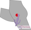 Wibrator dla kobiet łechtaczka Punkt G i anal